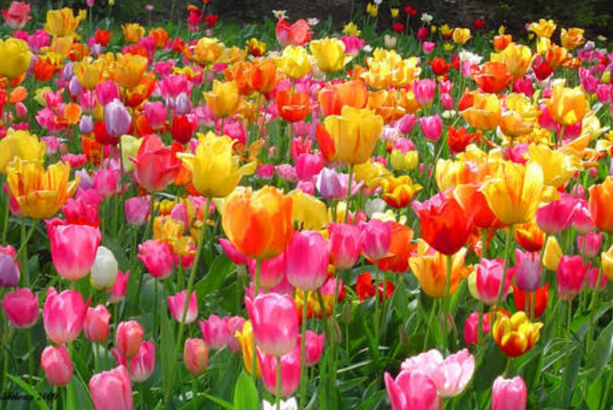 Christinadelfi6's tweet image. 