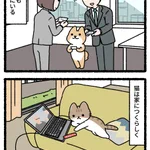 犬は人につき、猫は家につく。でもどっちでも幸せライフ!