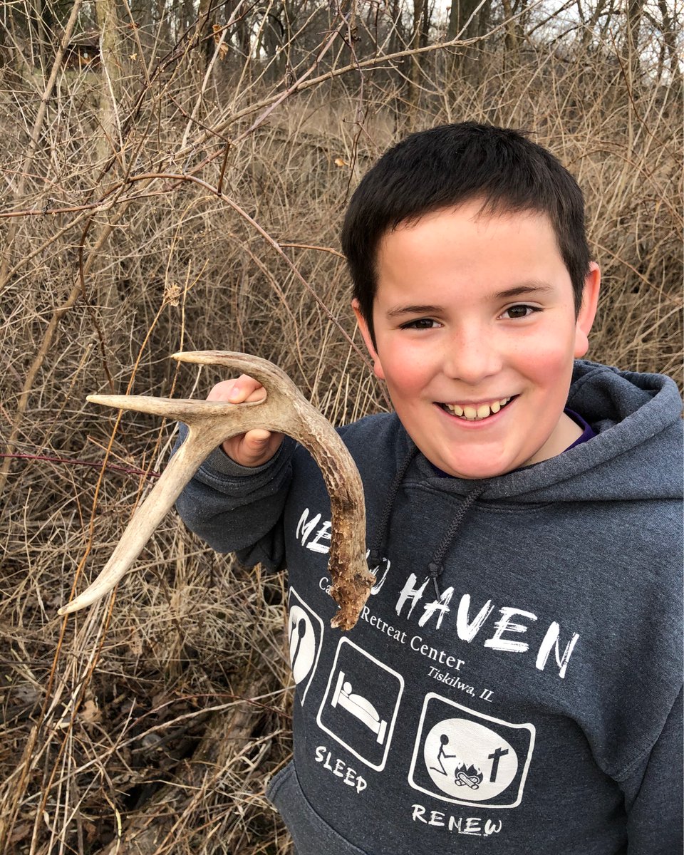 First Antler of the season has been discovered! 

Now that the season has changed, we get to see what the last one was hiding 👀

#ForestFinds #BackyardViews