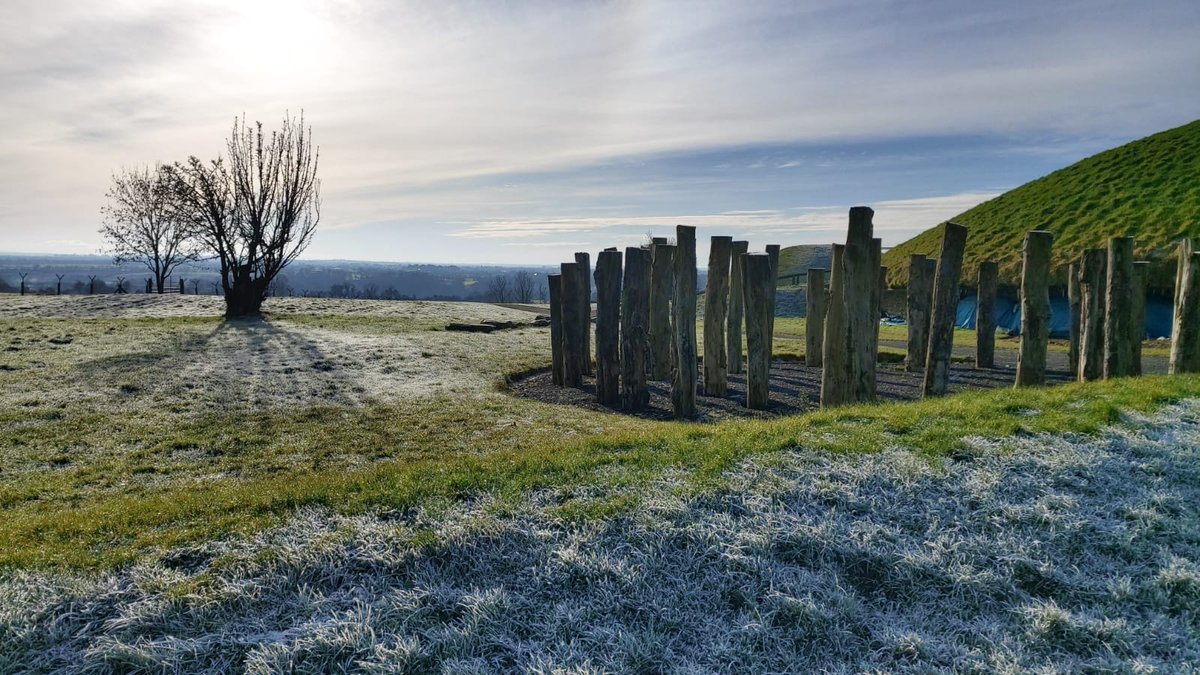 brunaboinneOPW's tweet image. #NationalTreeWeek2021 
In many cultures the fruit of the Pear tree is a symbol of abundance and longevity. Apt that this beautiful Pear tree sits proudly beside the great passage tomb at Knowth which is over 5000 years old 🌳🍐 📷Nichola #nature #Biodiversity #trees #peartree