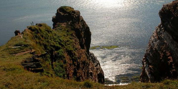 Green Power Academy tweet media