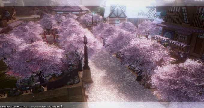 並木道のtwitterイラスト検索結果