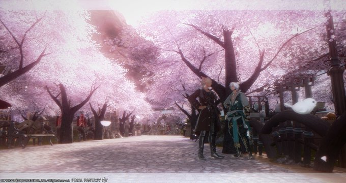 並木道のtwitterイラスト検索結果