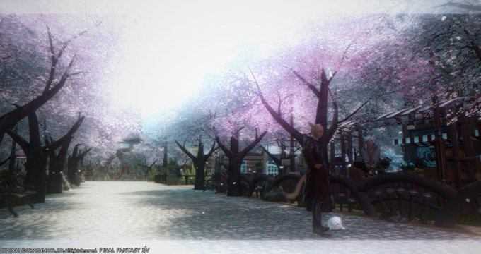 並木道のtwitterイラスト検索結果