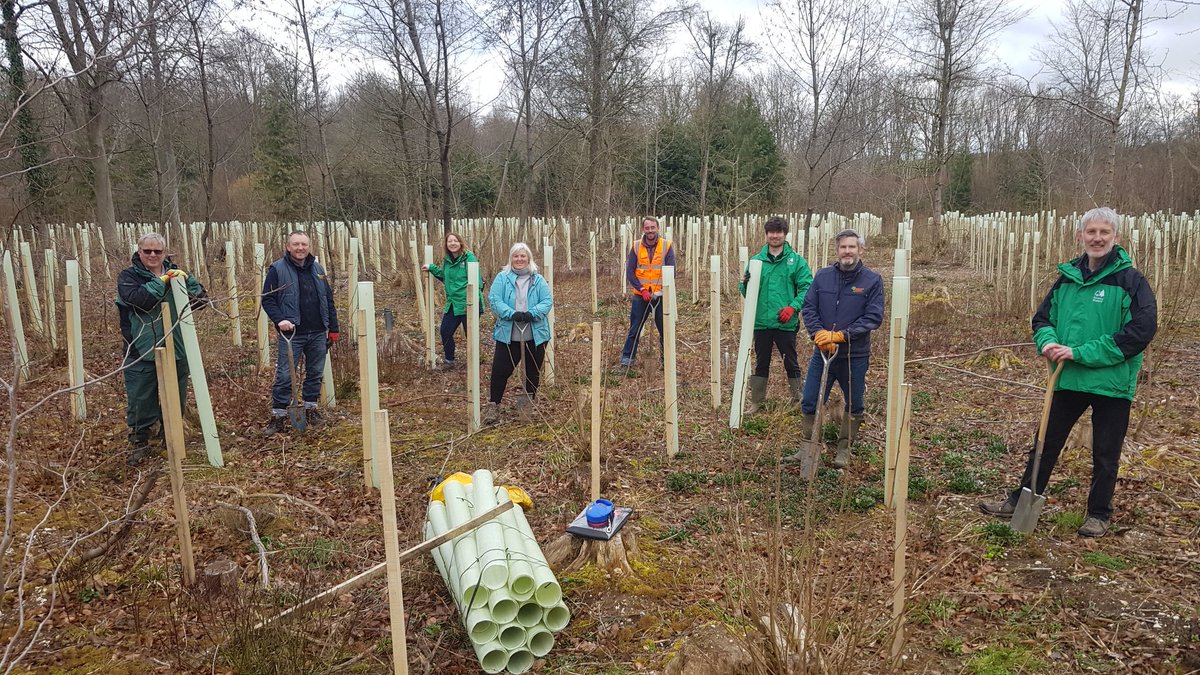 GrahamBirdGC's tweet photo. Working with @ForestryEngland restocking West Wood, Farley Mount and looking to the future of our Woodlands #treeplanting #sustainability #WorldForestDay @GroundControlGC https://t.co/m1gfPAdq3A