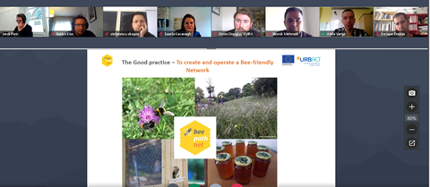 InterregPROGRE1's tweet photo. From Hungary, Budapest district #BeePathNet @URBACT project. Valuing pollinators close to the citizenship in city areas. #BiodiversityStewardship #PESPROGRESS https://t.co/Yp0BRHFPkc https://t.co/CUFaN0gvjq