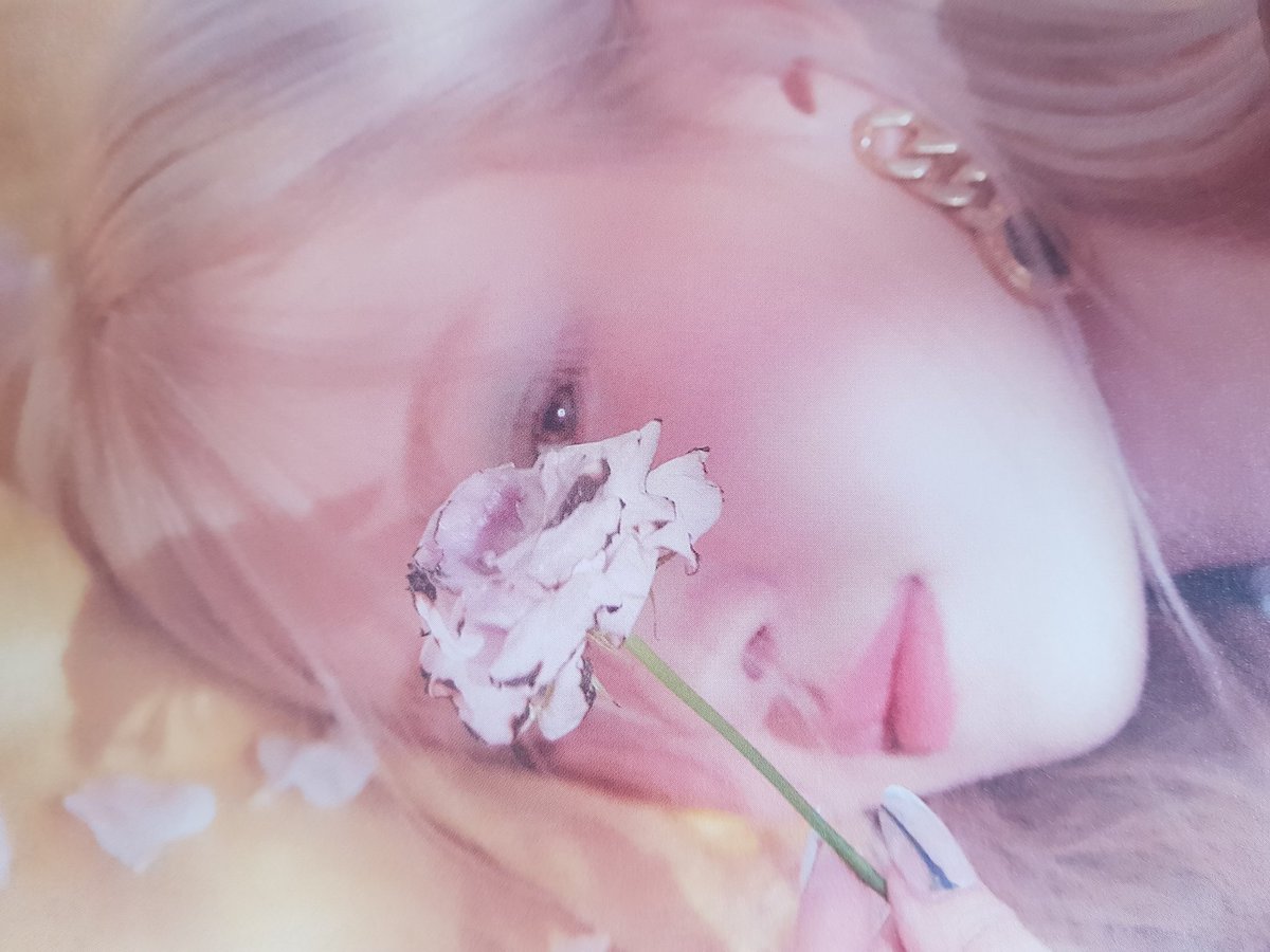 rosé pics tweet media