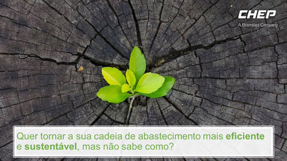 CHEP_PT's tweet photo. Com a calculadora online "Power of Pooling" da CHEP, pode calcular os benefícios financeiros e ambientais que pode esperar da utilização do nosso modelo de partilha e reutilização de paletes.

Experimente em https://t.co/PWCzjvv4ZY

#powerofpooling #sustainability  #howchepworks https://t.co/s182kjgvaI