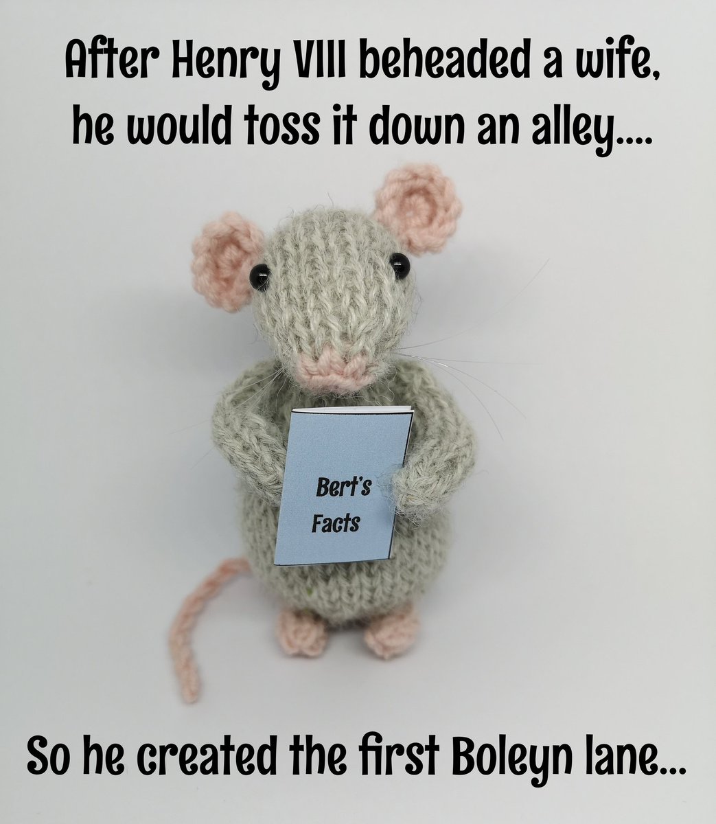 wooliam2's tweet photo. If its in Bert's book it must be true!
#wooliamgang #pun #Mondayvibes https://t.co/s3bMduL4BJ