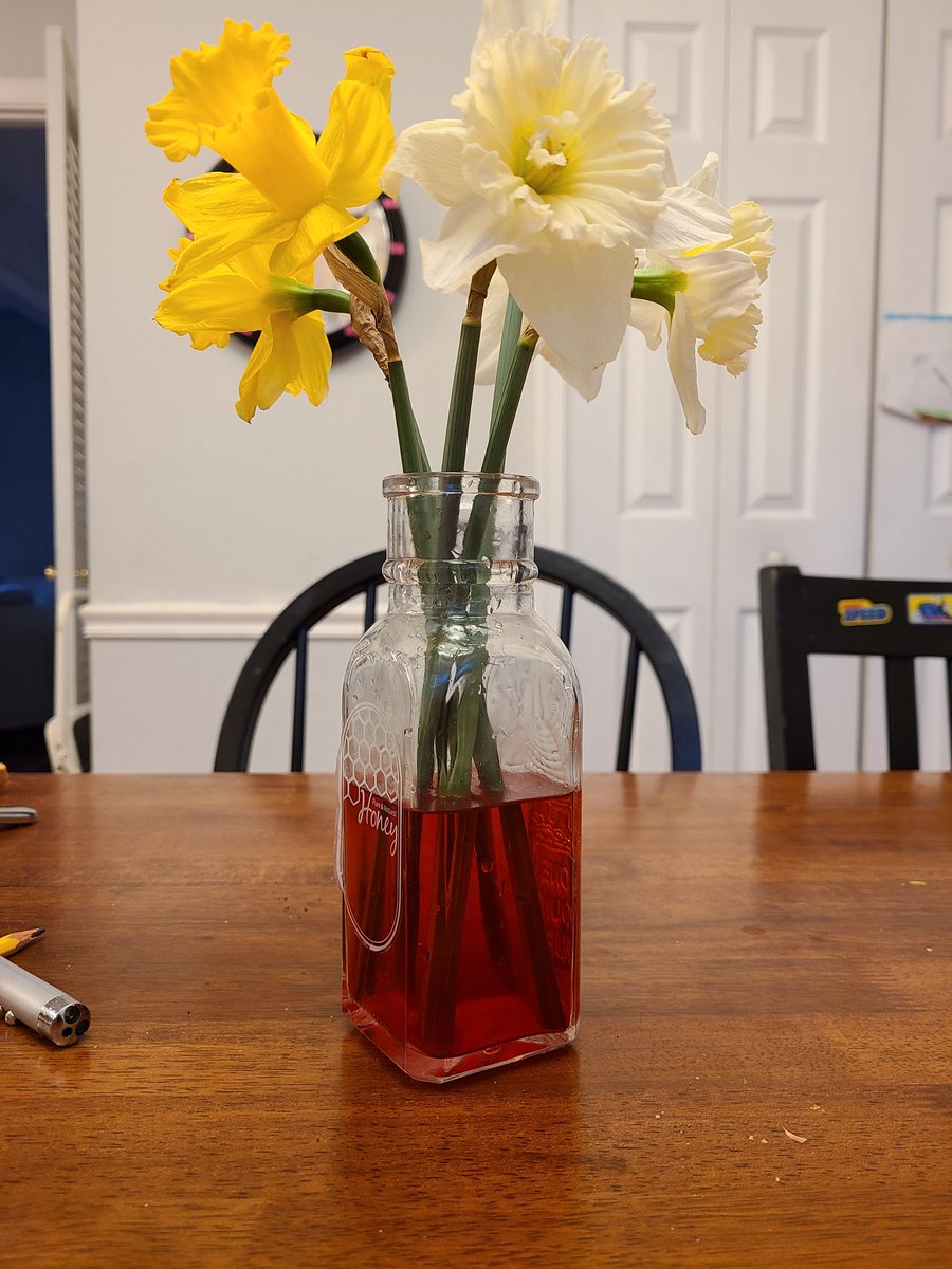 Heather Giustiniani tweet media