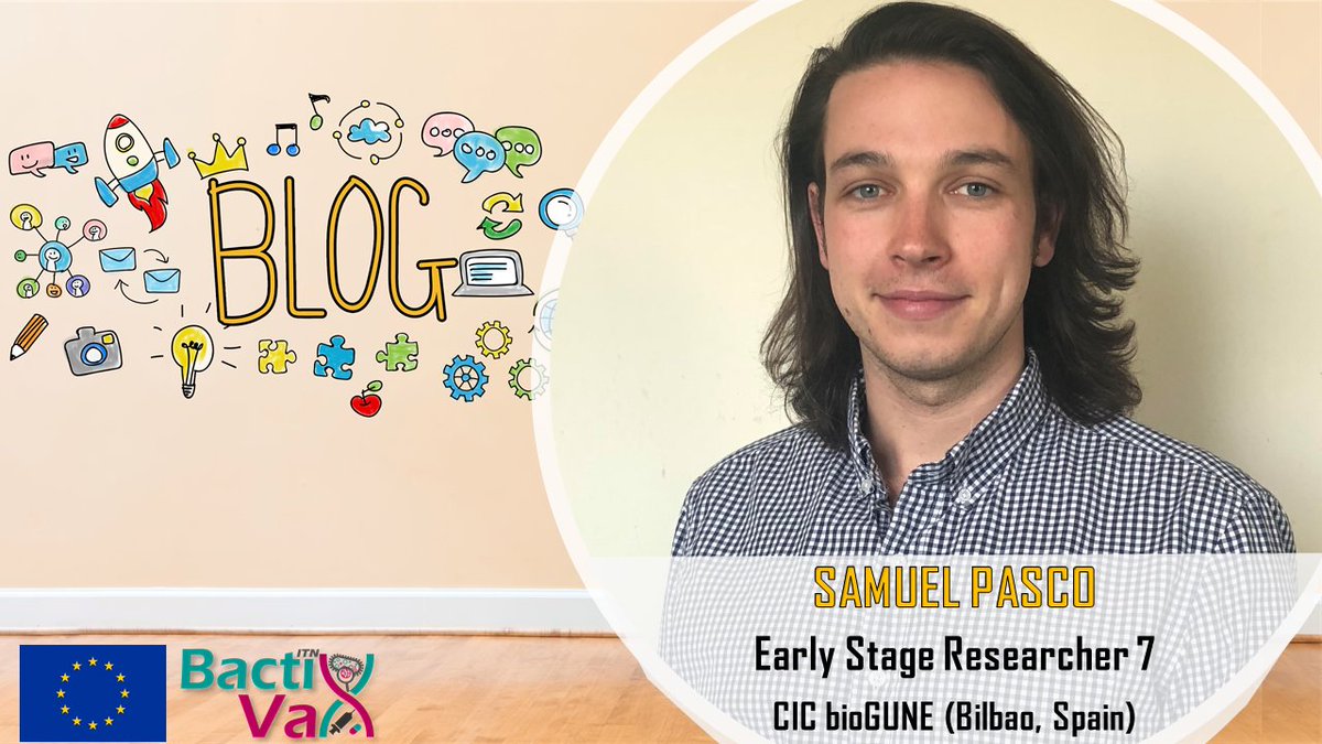 BactiVax's tweet photo. Read the latest blog by @pasco_sam @CICbioGUNE to learn how some vaccines protect us against more than their target pathogen. These vaccines offer a bonus protective effect by training our innate (nonspecific) immunity, in addition to adaptive immunity. 
📑https://t.co/TuCGAJHTYU https://t.co/3R10fqVafi