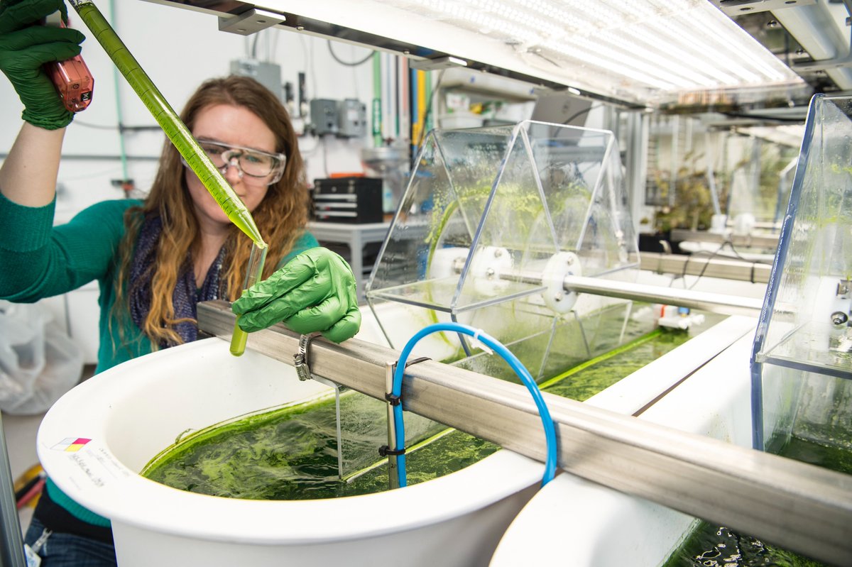 The blue bio-economy, a key ally of #EUGreenDeal. From low carbon food &amp; feed to 🆕 smart technologies with reduced environmental impact, the blue #bioeconomy offers endless opportunities.
Join <a href="/SubmNet/">SUBMARINER Network</a> workshop at #EMD2021 to find out more ➡️ europa.eu/!gn94cf
#BlueGrowth