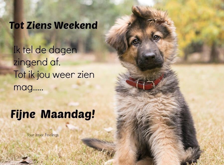 HaaksBarf_EU's tweet photo. https://t.co/cILWX31HmY