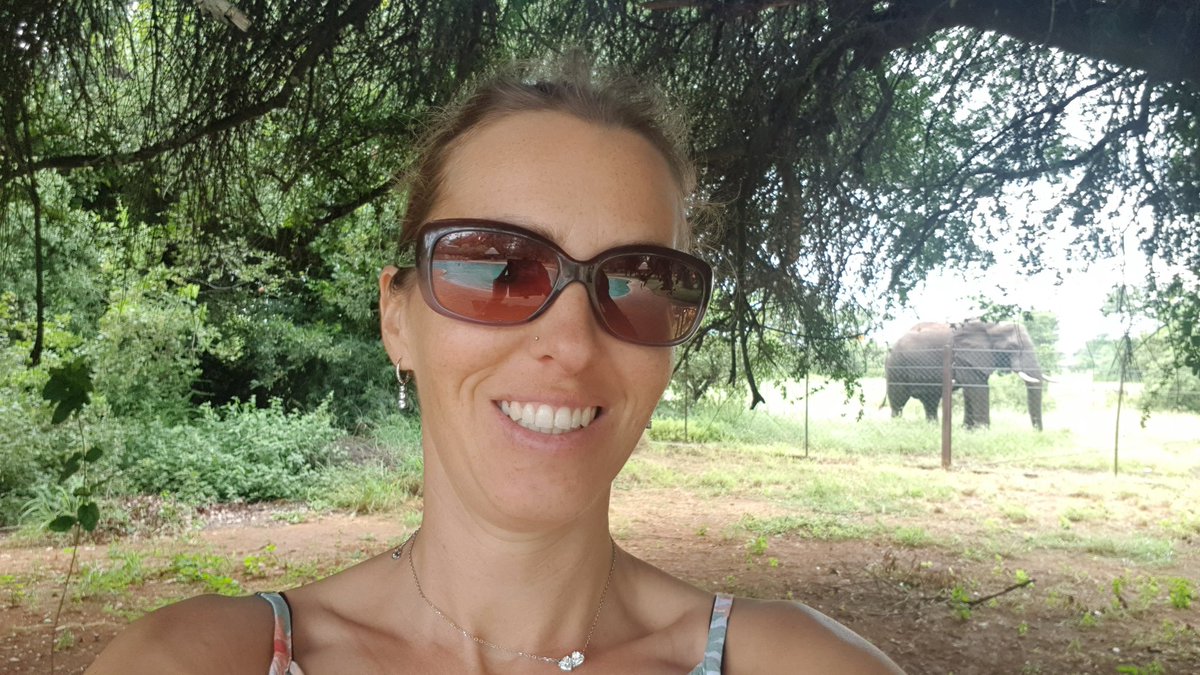 Antsinourpantst's tweet photo. @LatestKruger elephant next to the pool at Shingwedzi https://t.co/hxdaQBUhIB