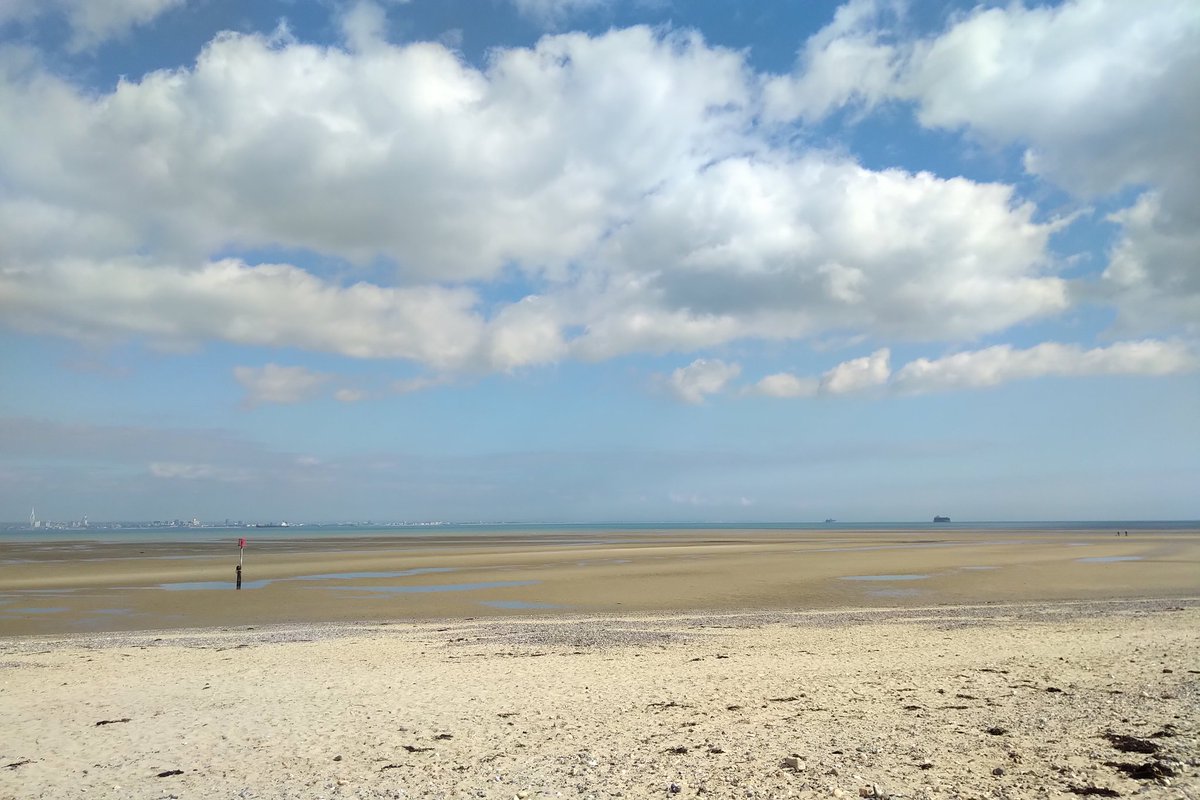 <a href="/SaintFooFighter/">Saint Foo Fighter ⚜️</a> Morning