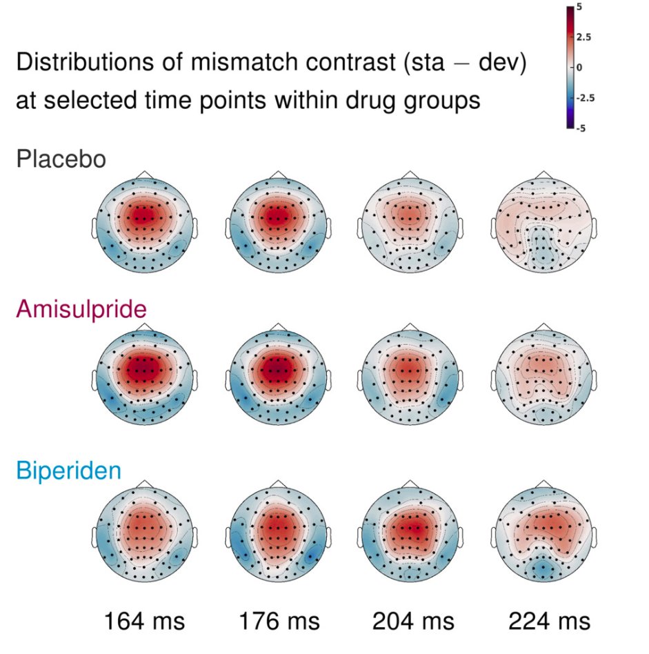 lilwebian's tweet photo. We find that #biperiden, which antagonizes muscarinic ACh receptors, shifts the MMN peak in time &amp; sensor space - in contrast to #amisulpride (antagonizing DA receptors). This supports a differential sensitivity of the MMN to the two modulators.

5/n https://t.co/3up9e4VmsX