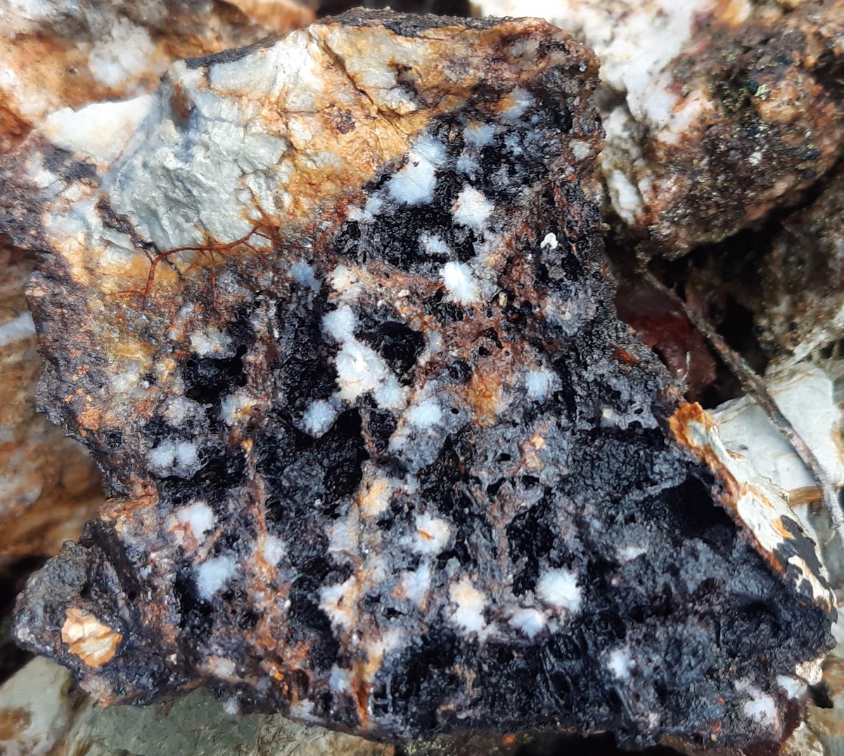 boneidle62's tweet photo. 2of2 #Llechweddhelyg #metalmineswales produced ~870 tons Pb, Zn &amp; Mn. Tips form mineralogical #SSSI. Starry quartz, secondary mineralisation of malachite &amp; blooms of blue encrusted #linarite - #schmiederite

@susiewong92 u2likethe minerals radiated&amp;bloomed encouraging folk💕RIP https://t.co/WK10Ly7CSp