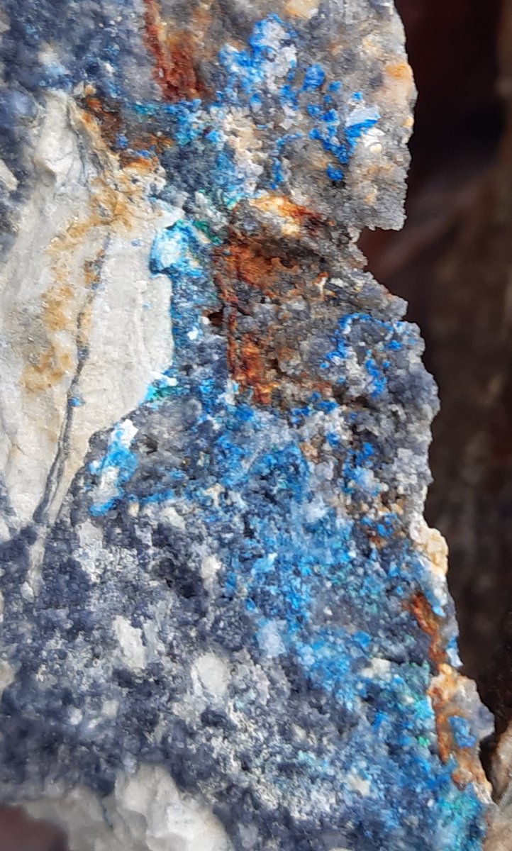 boneidle62's tweet photo. 2of2 #Llechweddhelyg #metalmineswales produced ~870 tons Pb, Zn &amp; Mn. Tips form mineralogical #SSSI. Starry quartz, secondary mineralisation of malachite &amp; blooms of blue encrusted #linarite - #schmiederite

@susiewong92 u2likethe minerals radiated&amp;bloomed encouraging folk💕RIP https://t.co/WK10Ly7CSp
