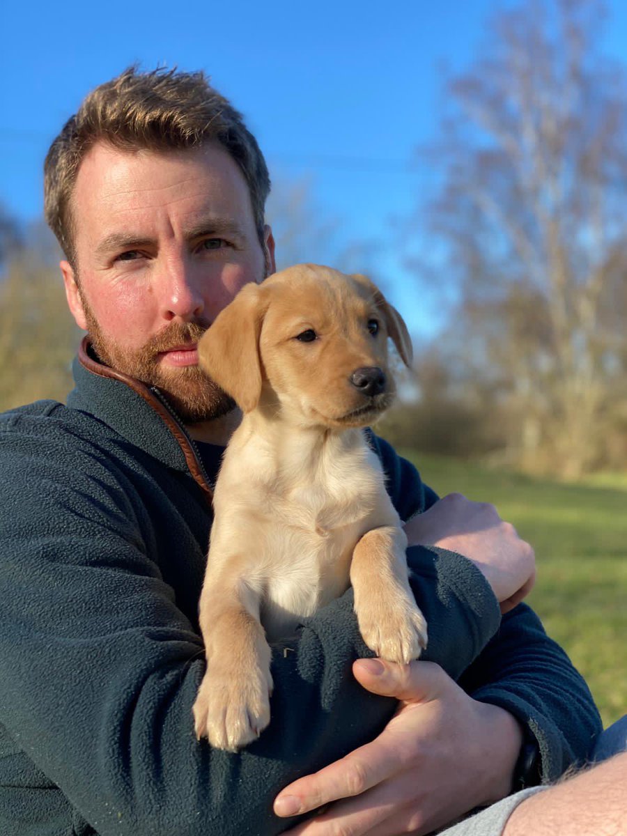 Beggarbush Heart - Trudie! A long awaited pup, which was booked a good while ago has now arrived to join our pack.