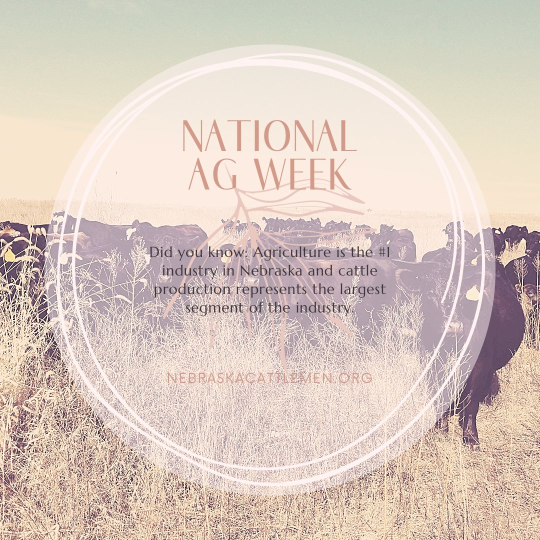 NECattlemen's tweet photo. Happy National Ag Week!

Thanks for celebrating #meatonthemenu over the weekend - let’s keep celebrating with #agweek ! 

#farming #ranching #nebraskaag #livestock #crops #gardening https://t.co/5UzCR8Iyxc