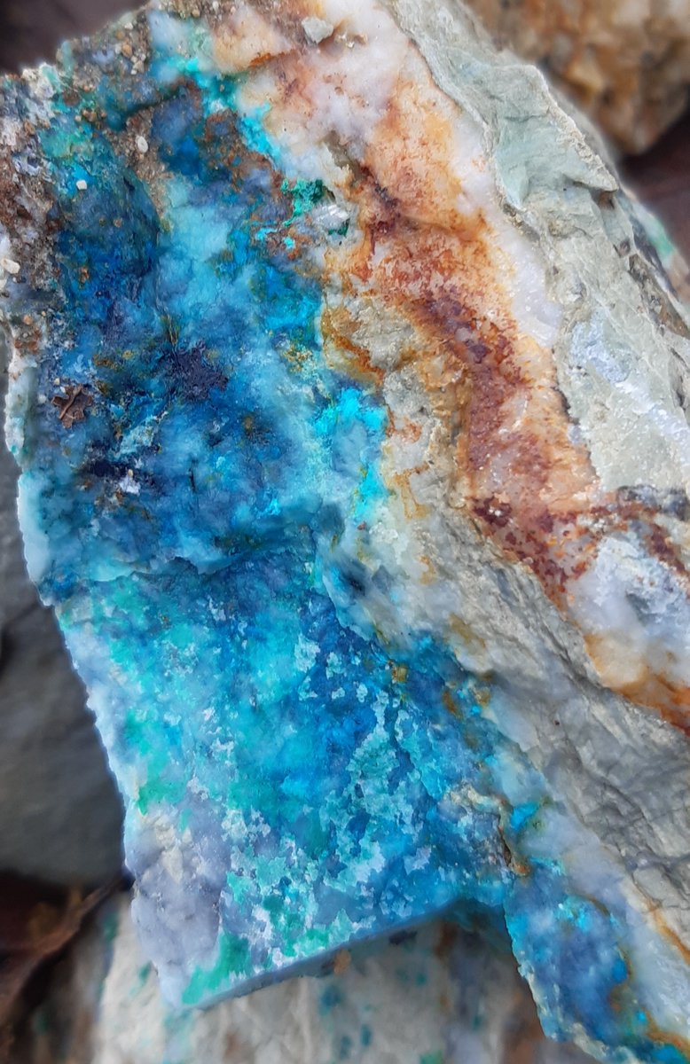 boneidle62's tweet photo. 2of2 #Llechweddhelyg #metalmineswales produced ~870 tons Pb, Zn &amp; Mn. Tips form mineralogical #SSSI. Starry quartz, secondary mineralisation of malachite &amp; blooms of blue encrusted #linarite - #schmiederite

@susiewong92 u2likethe minerals radiated&amp;bloomed encouraging folk💕RIP https://t.co/WK10Ly7CSp