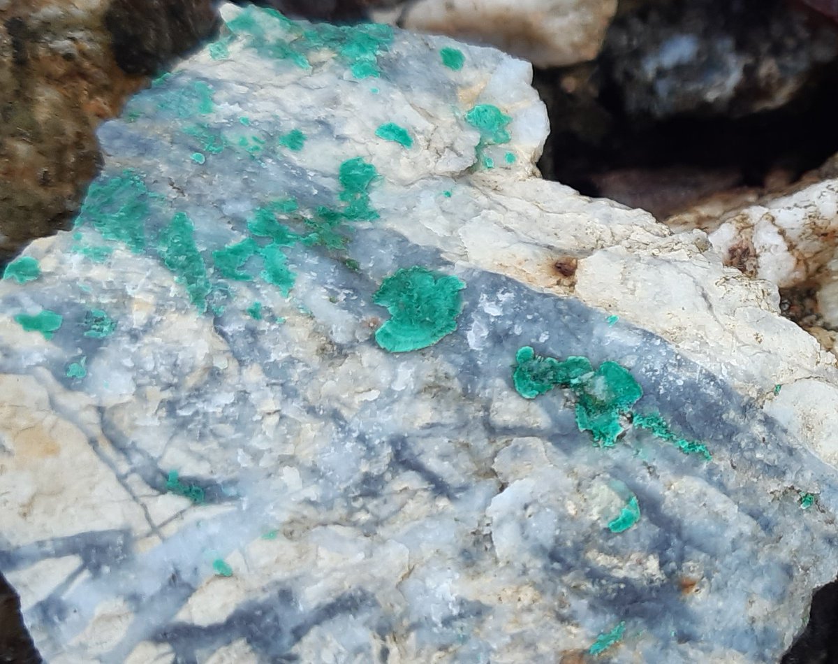 boneidle62's tweet photo. 2of2 #Llechweddhelyg #metalmineswales produced ~870 tons Pb, Zn &amp; Mn. Tips form mineralogical #SSSI. Starry quartz, secondary mineralisation of malachite &amp; blooms of blue encrusted #linarite - #schmiederite

@susiewong92 u2likethe minerals radiated&amp;bloomed encouraging folk💕RIP https://t.co/WK10Ly7CSp