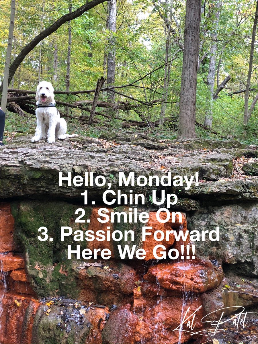 cpkalpatel's tweet photo. Hello, Monday!
1. Chin Up.
2. Smile On.
3. Passion Forward.
Here we go.

Let’s get this week off to a great start!!

#chinup #SmileOn #passionforward #HereWeGo https://t.co/UhswwdeiQp