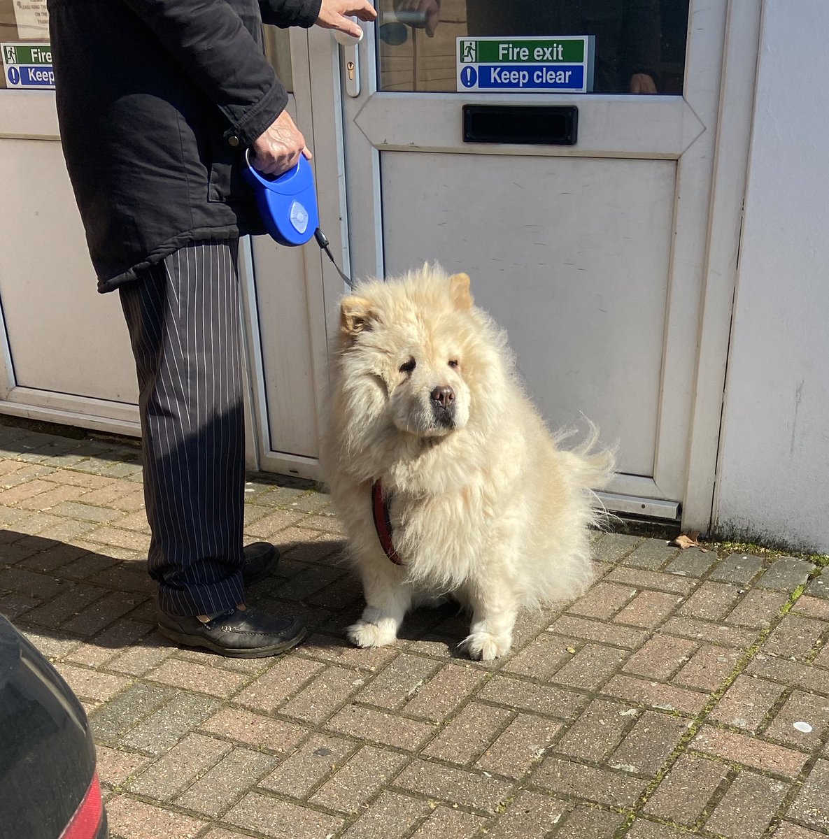 beeepit's tweet photo. 9 years on Twitter even tho I hardly use it.. here’s a pic of a floof I saw today to celebrate. https://t.co/FooWOeLskb