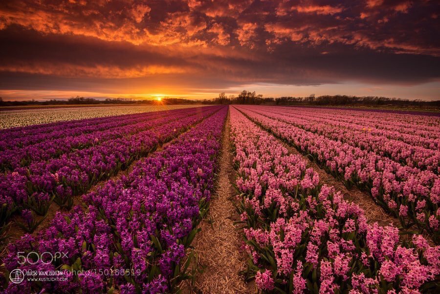 JeanetteEliz's tweet photo. It’s a brand new week, Happy Monday Everyone. 😊 I hope all of you have a wonderful day. Have a beautiful week ahead. 💞🌺💕 https://t.co/7oecxVL9cb