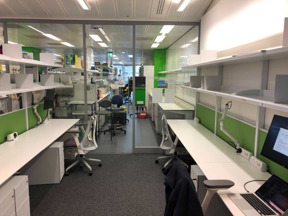 Moris Lab tweet media