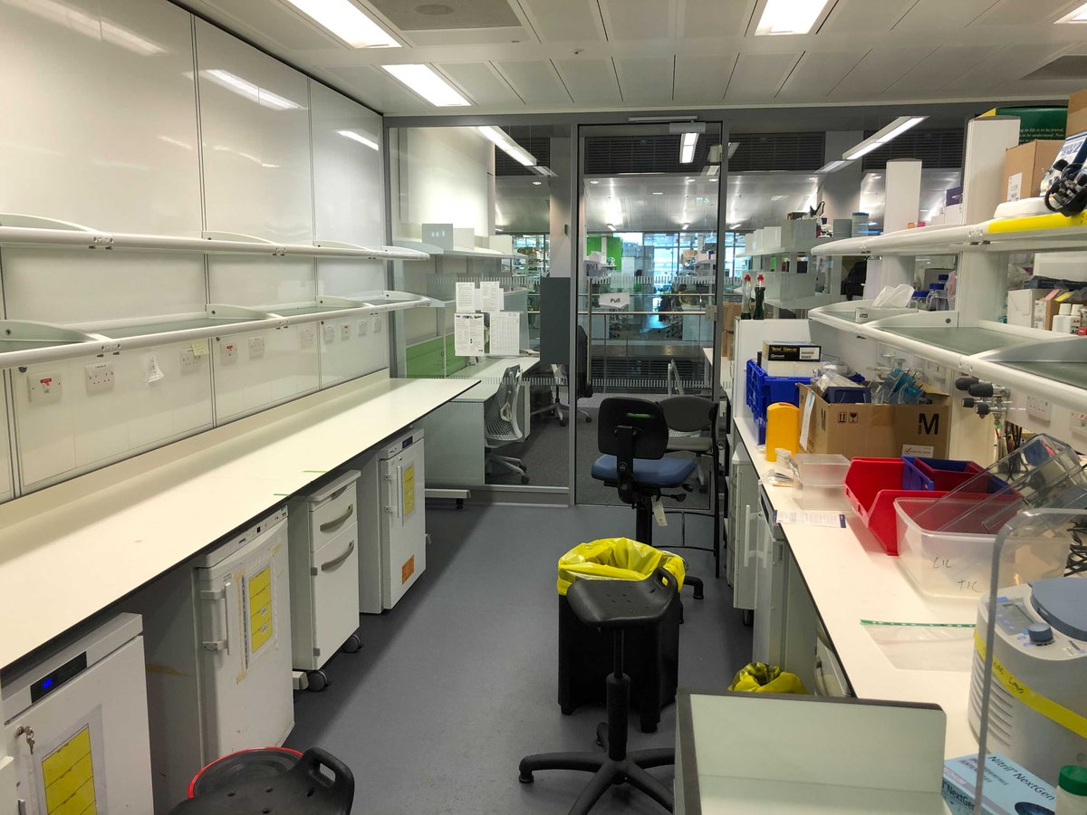 Hello world! This is the new twitter account for the Moris lab - bringing you updates on our research. It's the first day that we're in our new lab space, and we're so excited for all the cool science we're going to be doing here!