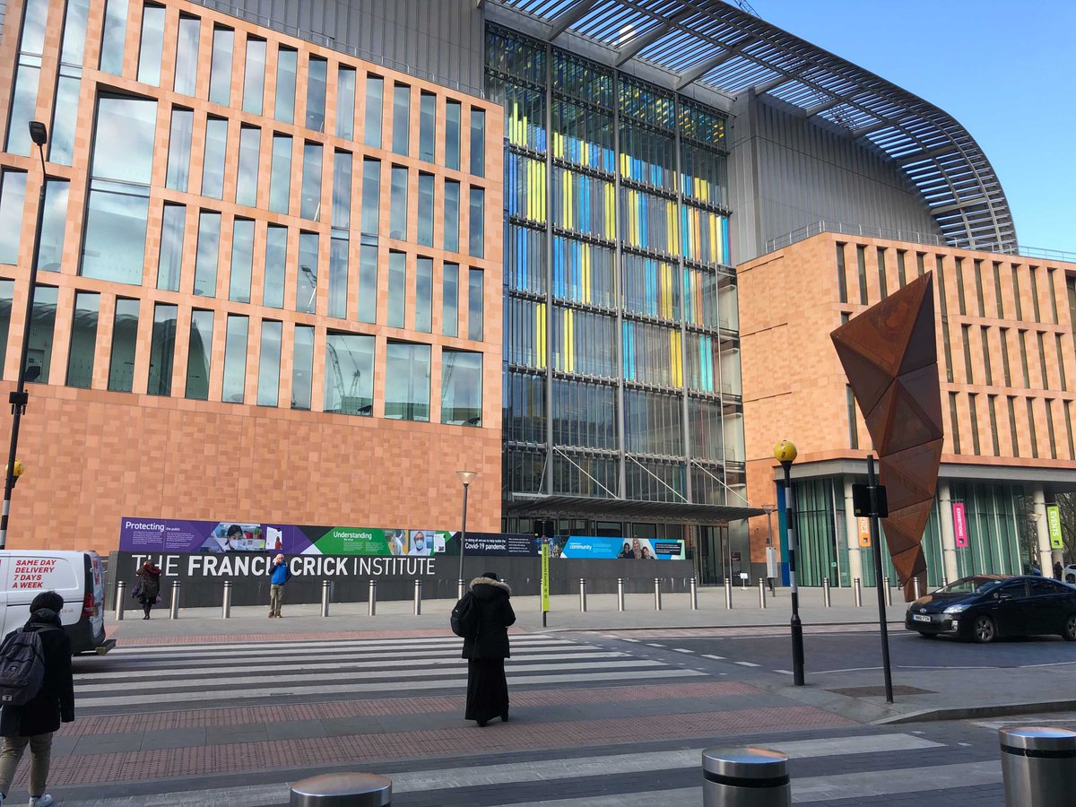 Moris Lab tweet media