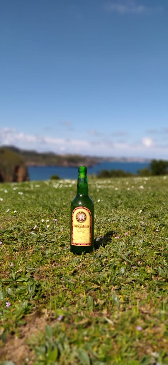 Arrancamos la semana!
#pideunaviuda
#pideunadeviuda