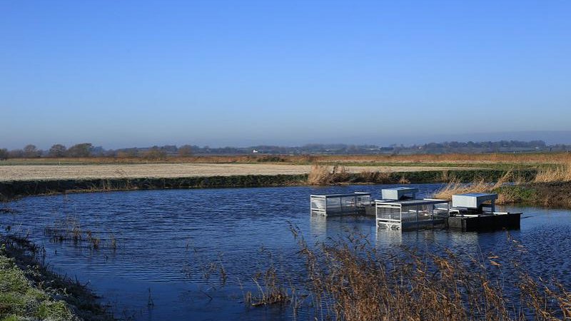 ueaenv's tweet photo. Today is #WorldWaterDay! π§
The Felixstowe Hydrocycle, supported by UEA, will save up to 600,000 tonnes of drainage water each year. The water is reused by local farmers and stops damage to saltmarsh and mudflats. Read more at https://t.co/n7Eah7tB9l #FRESH4Cs #UEAScience https://t.co/KvdVTCZnLg