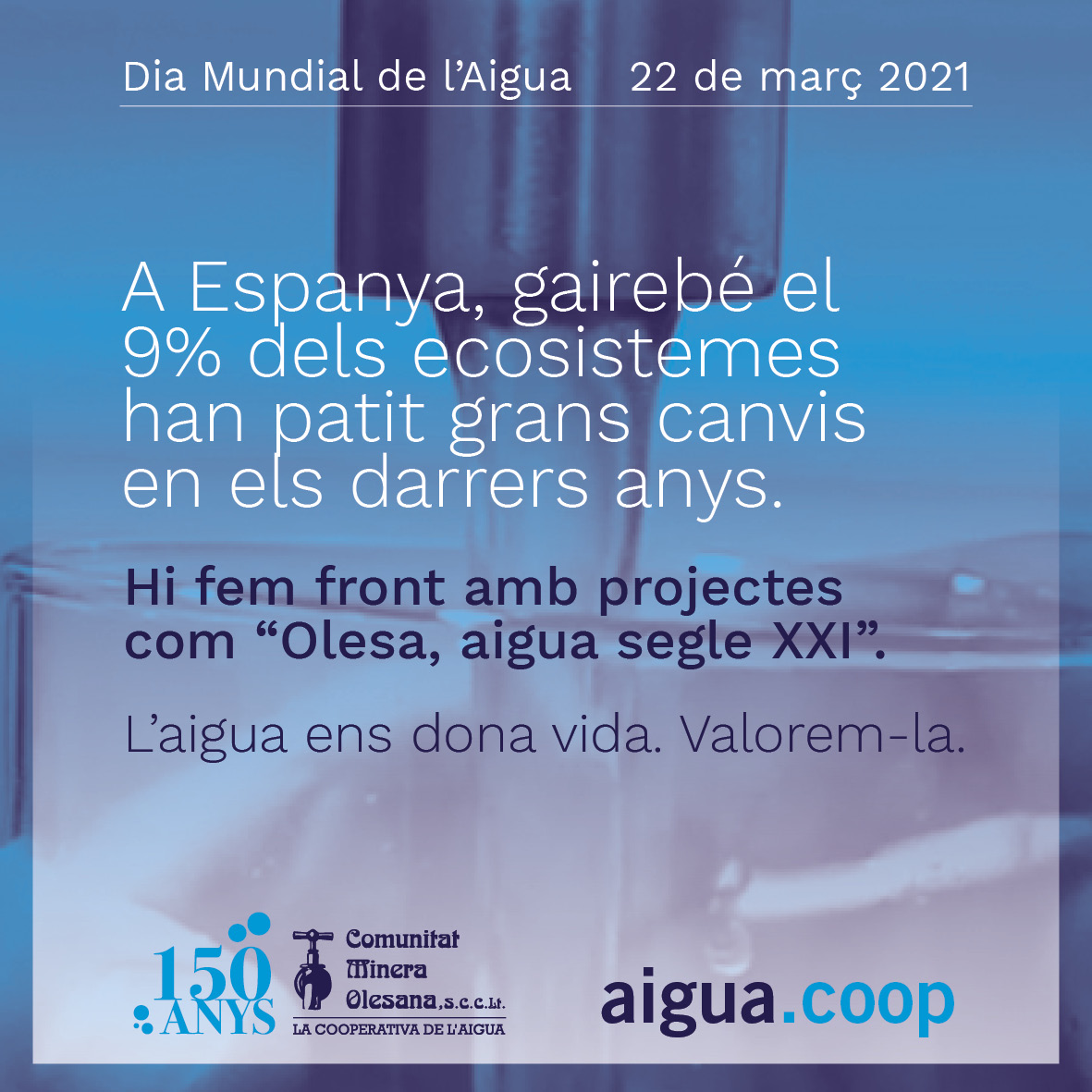 🌍🚰  A Espanya, un 9% dels ecosistemes han patit canvis els últims anys per l'estrès hídric. 

🌱 Amb el canvi climàtic, cada serà més greu. Per això tenim projectes com "Olesa, aigua segle XXI".

💧 L'aigua ens dona vida. Valorem-la.
#Water2Me #WorldWaterDay #DiaMundialDelAigua