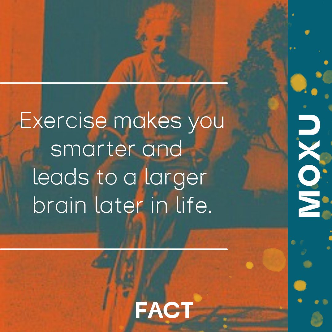 30 minutes of exercise a day can make you a genius! It can help  sharpens your focus, stave off brain aging, improve memory and gives you a bigger brain. 

No matter what your level of fitness, you just have to get your heart rate up for half an hour most days. Happy exercising.