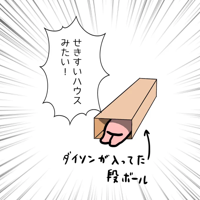 ダイソンの掃除機が届きました。
チビさんの反応です。 