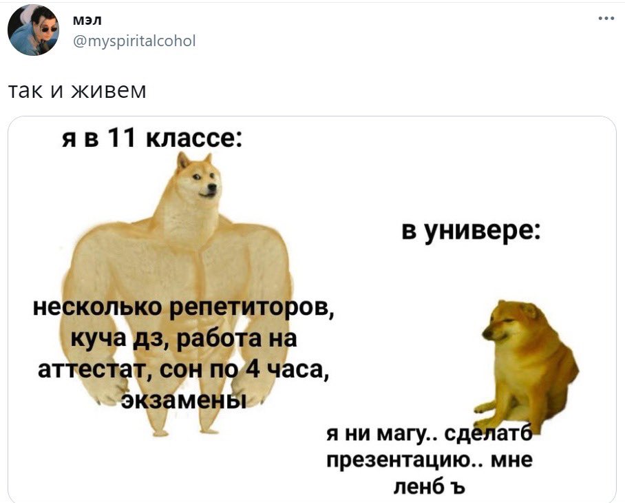 too_blackberry's tweet photo. Жиза https://t.co/L085qXA2hs