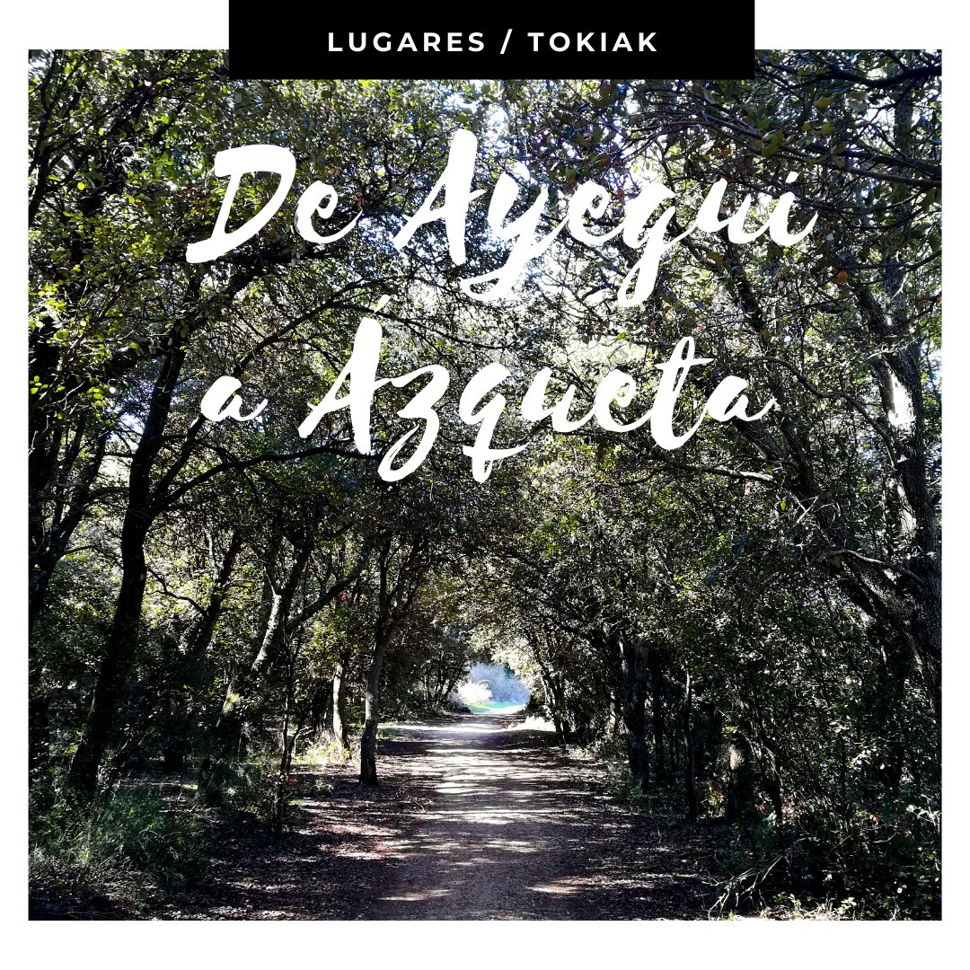 ¿Sabrías ubicar este bosque de fantasía😍? Pista: a pie o en bici lo encontrarás entre #Ayegui y #Ázqueta.

Ba al dakizu non aurki dezakezun zuhaitzez eginiko tunel naturala hau? Pista: Aiegi eta Azketa herriak elkartzen dituen bidean dago🕵.
#TierraEstella #Lizarraldea #paseos