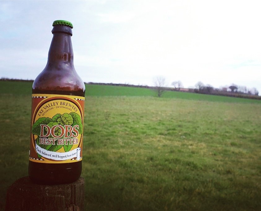 ExeValley's tweet photo. BEER GLORY-OUS BEER! 🐑🍺🌳
Our boys have been busy the last few weeks, back brewing – and they are doing such an amazing job! ☺️We have delicious Dob's Best in bottles, and this week the new batch of Devon Glory is ready to order for delivery and collection! 🚚
 ✉ DM to order! https://t.co/HDICkPhMq2