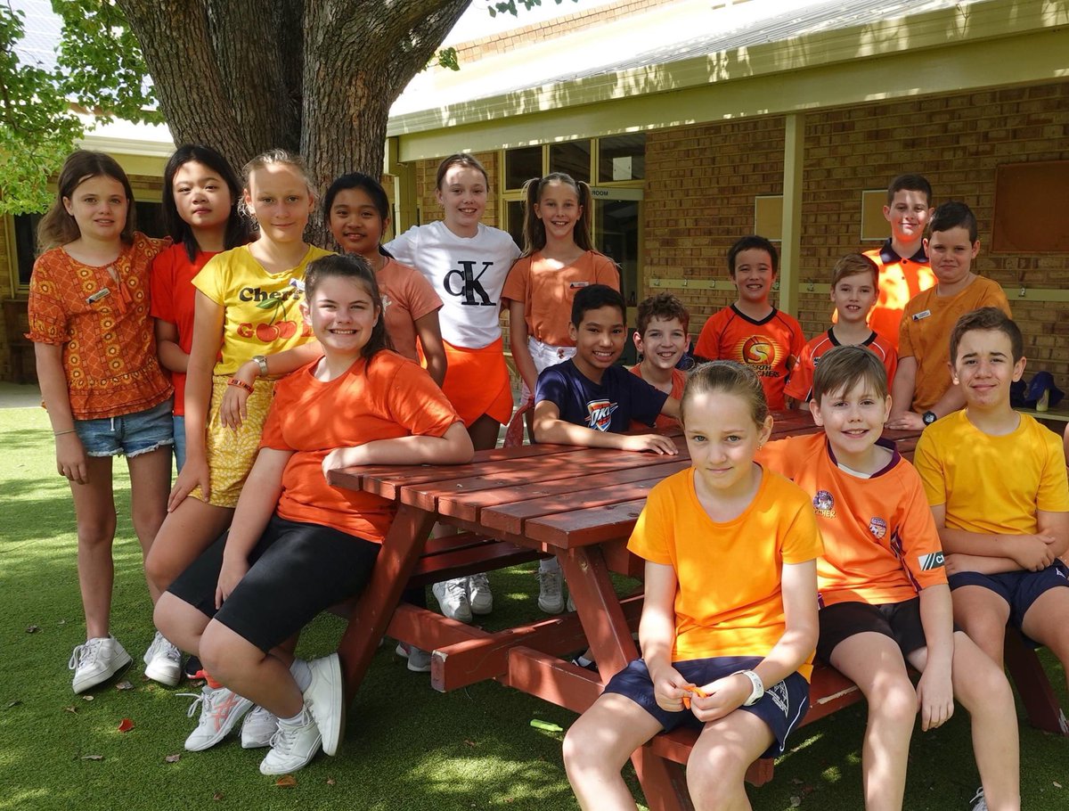 Sacred Heart Primary tweet media