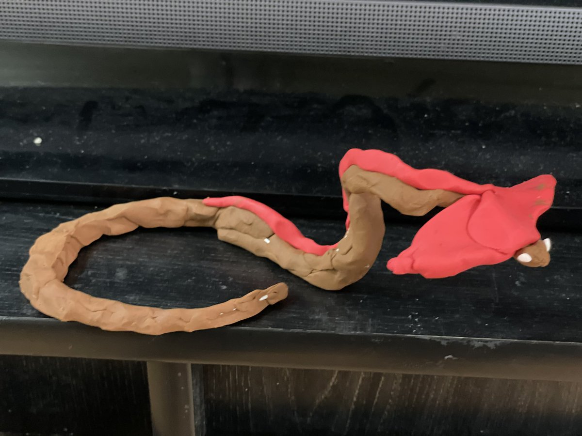 Sudhamudaliarg1's tweet photo. Rian‘a creation dinosaur world. #creativeideas #modelling-clay #claysculpting #kidscrafts @aka_tusharR @avirginia11 @Michell67291739 @tdsb @TDSB_Grenoble https://t.co/hVYcg18Ve1