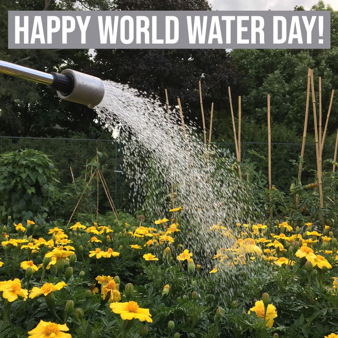 Today is #WorldWaterDay! #Water is our most vital resource. #WorldWaterDay2021 celebrates this valuable resource, raises awareness about the #globalwatercrisis, and refocuses our efforts on achieving #water and #sanitation for all. <a href="/UN_Water/">UN-Water</a> <a href="/henhere/">Halton Environmental Network</a> <a href="/GSSHaltonPeel/">GSS Halton-Peel</a>