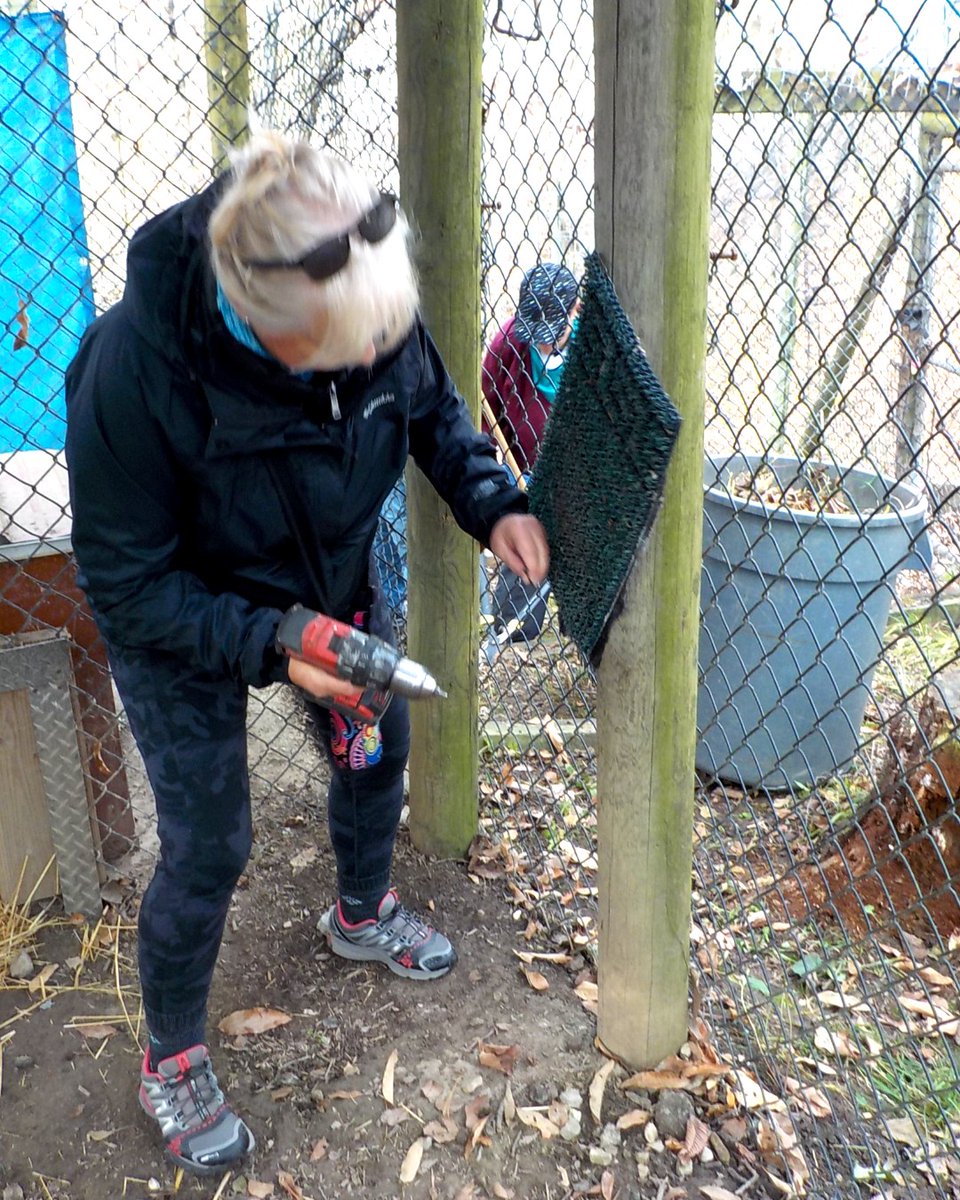 WildlifePrairiePark tweet media