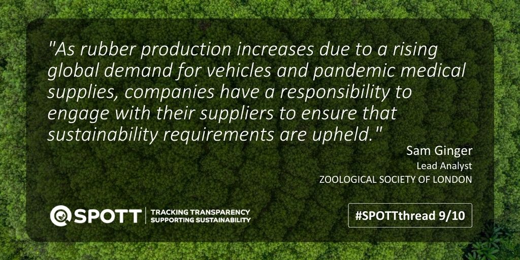 ZSLSPOTT's tweet photo. #SPOTTthread: @ZSLconservation is urging buyers and #FinancialInstitutions, such as tyre manufacturers and investors, to publish their own sustainability policies and use their influence to ensure commitments are being implemented and reported on across the whole supply chain. https://t.co/9sKybbN1mJ
