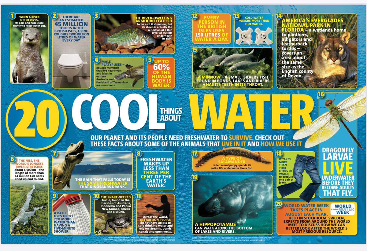 Today is World Water Day. All classes at Belmont are taking part in a lesson about the value of water. Check out these water facts from the National Geographic Kids website. #WorldWaterDay  #ValuingWater