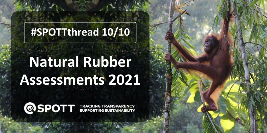 ZSLSPOTT's tweet photo. #SPOTTthread: @ZSLconservation urges the rubber industry to help ensure #sustainable and #equitable production of natural rubber can continue whilst enabling the recovery of #wildlife within the landscapes it occupies. https://t.co/cxiP5tDWxv https://t.co/XD5kA2KoZm