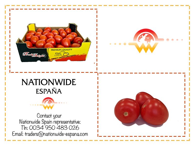 SpainNationwide's tweet photo. Premium Quality #PlumTomato!

The #plumtomatoes help to improve the digestive system , and They are a great source of Vitamin C.
Our #brand #freshdelight ensures the best quality!
#tomato #tomatoes #plumtomato #recipe #recette #FreshDelight #Spanish #Spain #Almeria https://t.co/G7IqO3HKRf