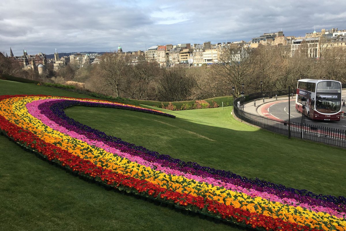 HTAnews's tweet photo. What a beautiful focal point for #DayofReflection tomorrow. A rainbow of hope from the Scottish horticulture industry on Edinburgh's famous mound. Great work from @Growforth @reynardnursery @Edinburgh_CC  and a host of others. https://t.co/t9tvCzpMiP