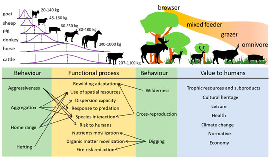 SusBioCon_MDPI's tweet photo. Welcome to read article by our Section Editor in Chief: #Rewilding Lite: Using Traditional Domestic #Livestock to Achieve Rewilding Outcomes https://t.co/9EUteGfSnl via @MDPIOpenAccess https://t.co/ZT5KLYAdYD